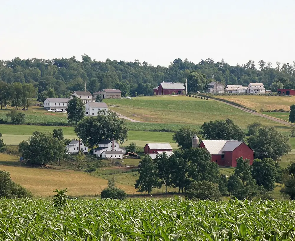 Amish barn landscape