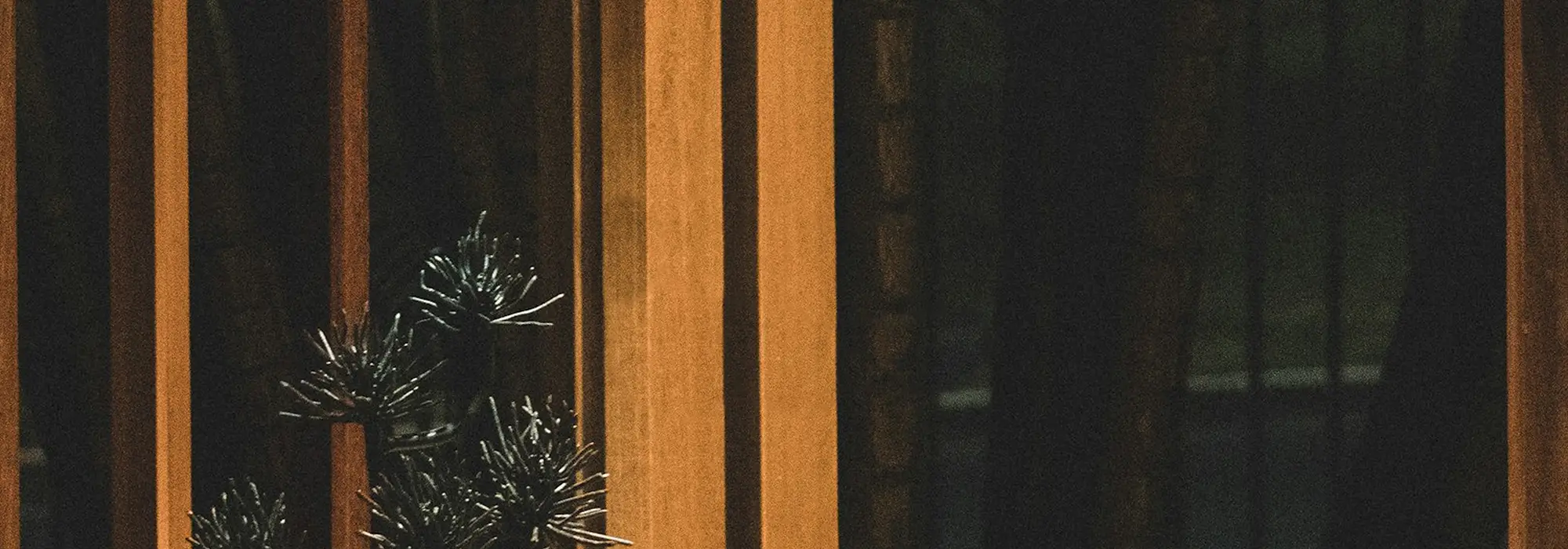 Live edge furniture hero image