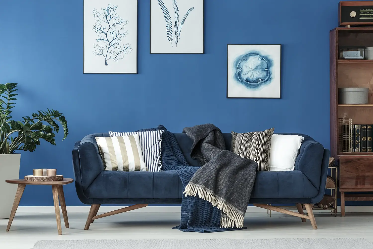 Blue sofa with nice decor